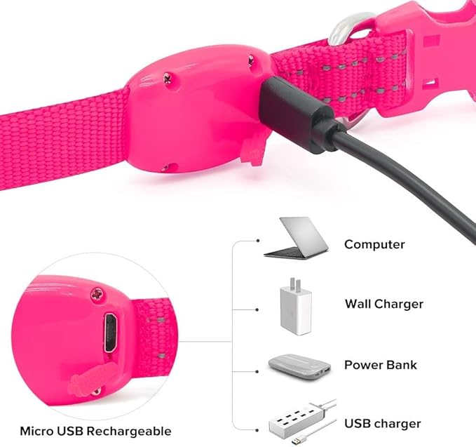 BSEEN Light Up Dog Collar - Reflective LED Dog Collar Rechargeable Glowing Pet Collar for Puppies &