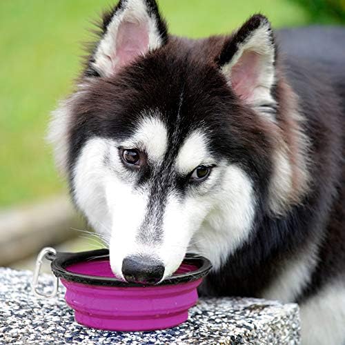 Kytely Large Collapsible Dog Bowls 2 Pack, 34oz Foldable Dog Travel Bowl, Portable Pet Water Food