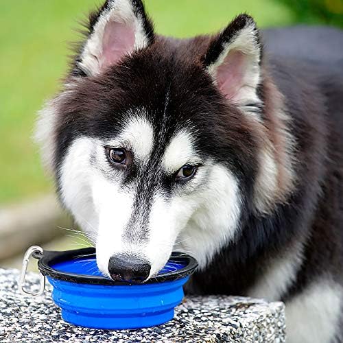 Kytely Large Collapsible Dog Bowls 2 Pack, 34oz Foldable Dog Travel Bowl, Portable Pet Water Food