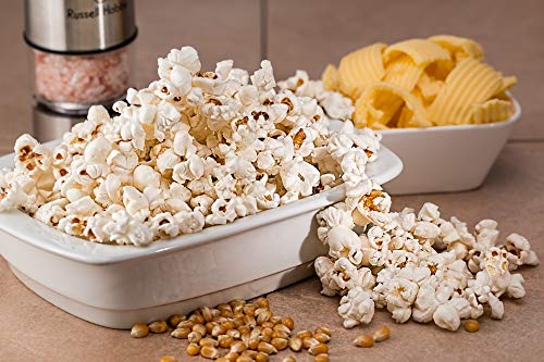 1000 Springs Mill Organic Dry Popcorn Kernels - Non-GMO, Healthy Snack for Microwave or Stovetop