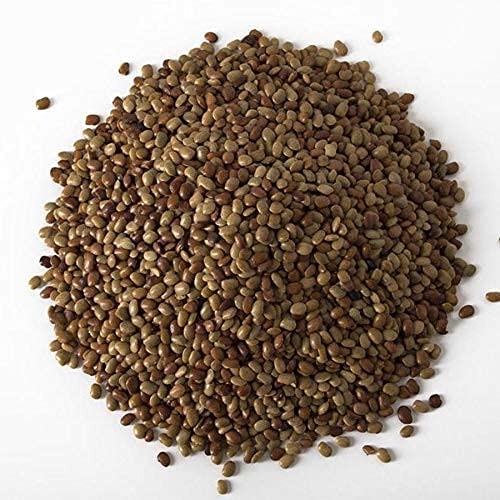 NY SPICE SHOP Horse Gram Lentils ??3 Pound Horse Gram ??Indian Kulthi Beans ??Muthira Seeds