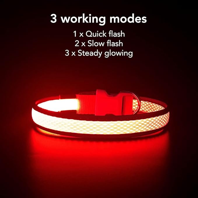 YFbrite Light up Dog Collar, USB Rechargeable LED Puppy Collar Super Bright Adjustable Glowing Dog