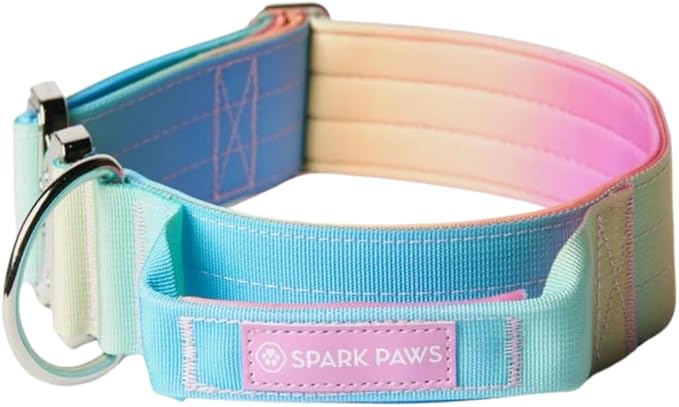 Tactical Dog Collar with Handle - Premium Quality Collar, Robust and Durable Design for Large
