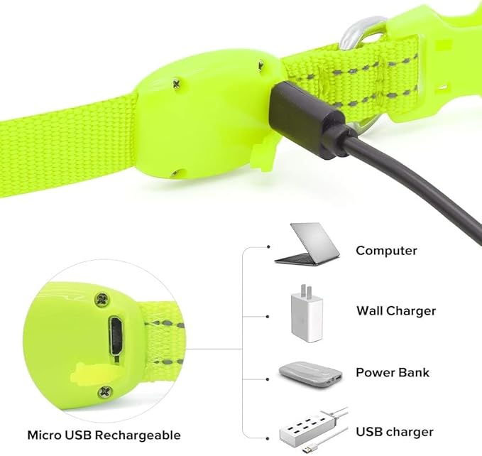 BSEEN Light Up Dog Collars - Glowing LED Dog Collar Rechargeable Puppy Collar for Small Dogs &