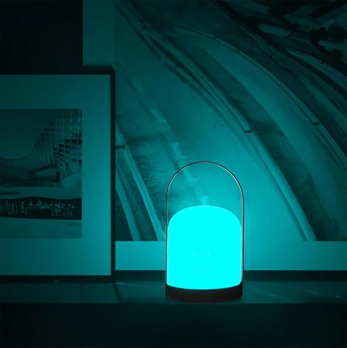 Mr.Go Portable LED Lantern Table Lamp | Cordless & USB Rechargeable | Remote Control & Dimmable |