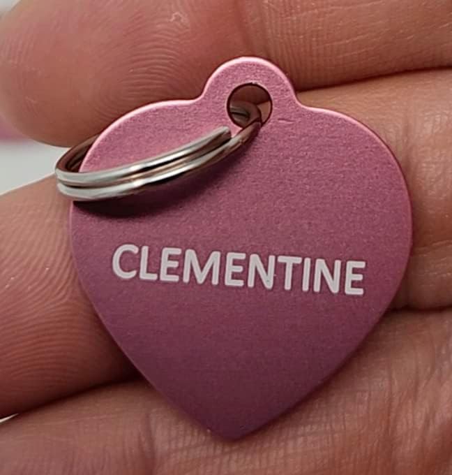 Dr. Fremont's Pet ID Tag Custom for Dog Cat Personalized | Many Shapes and Colors to Choose from |