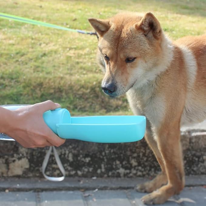 Foldable Dog Water Bottle,Portable Water Dispenser,Outdoor Pet Water Bottle for