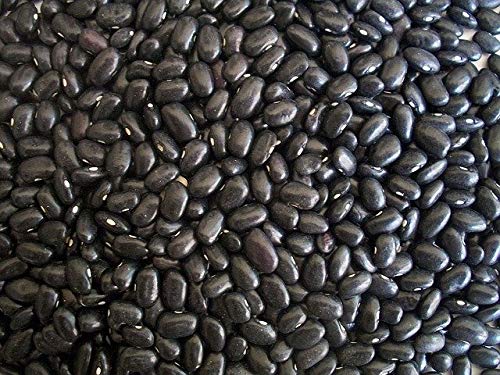 Seasoned Black Beans 16 oz Ragin Cajun (Pack of 4)