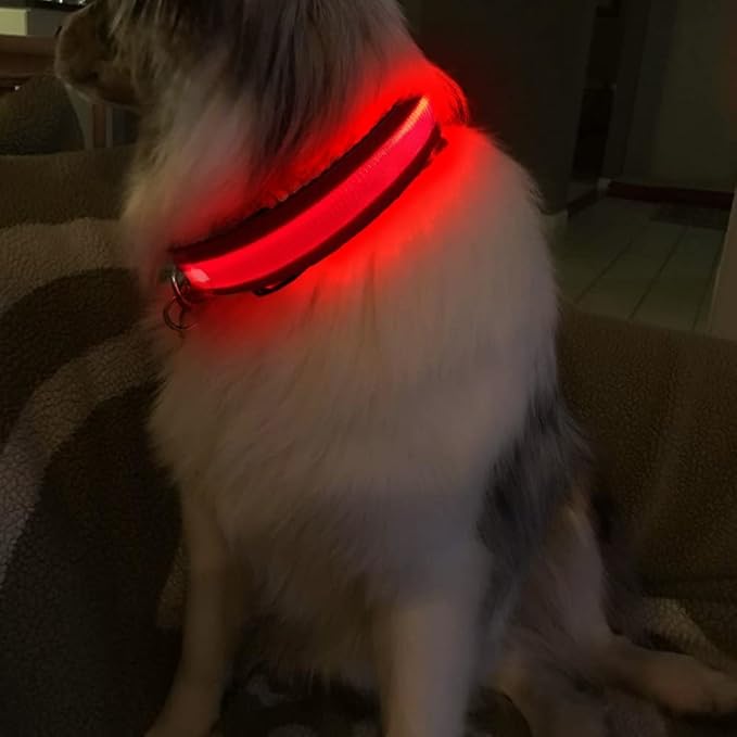 MASBRILL Light Up Dog Collars-LED Dog Collar Rechargeable Waterproof Lighted Dog Collar Night