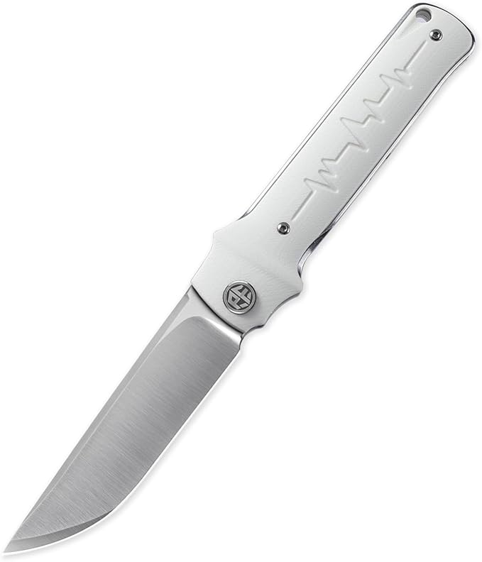 Petrified fish PFB04 Tena Folding Knife, 3.82" D2 Steel Satin Blade G10 Handle Pocket Folding knife
