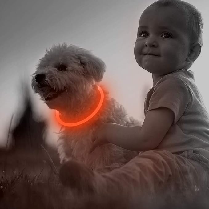 BSEEN LED Dog Collar, USB Rechargeable Glowing Pet Collar, TPU Cuttable Dog Safety Lights for Small