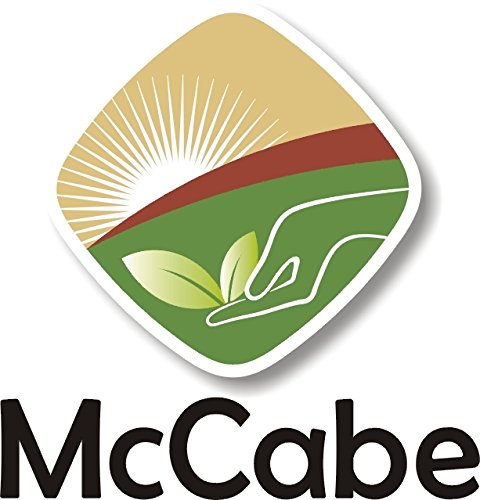 McCabe Organic French Green Lentils - Green Lentils Organic | Rich with Fiber & Minerals | USDA and