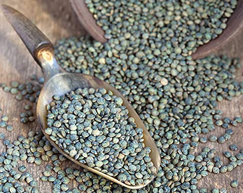 Food to Live Organic French Green Lentils, 10 Pounds ??Non-GMO, Whole Dry Beans, Raw, Sproutable