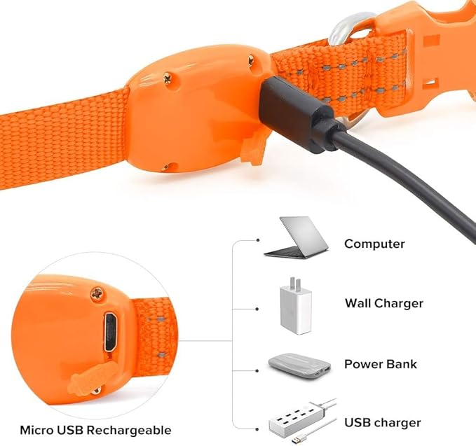 BSEEN Light Up Dog Collar, Reflective LED Dog Collar Rechargeable Glowing Puppy Collar for Puppies