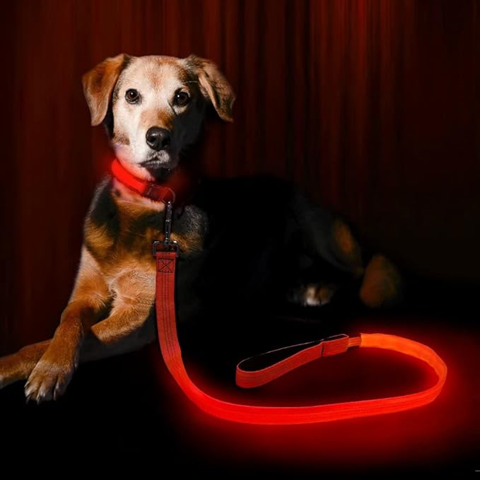 Candofly LED Dog Leash Rechargeable, 4 Ft Glow in The Dark Light Up Dog Leash, Nylon Reflective Dog