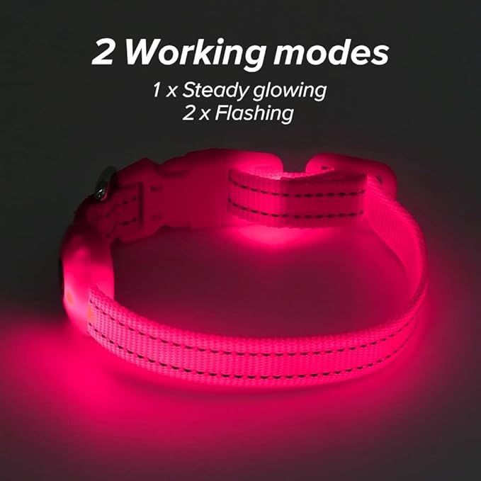 BSEEN Light Up Dog Collar - Reflective LED Dog Collar Rechargeable Glowing Pet Collar for Puppies &