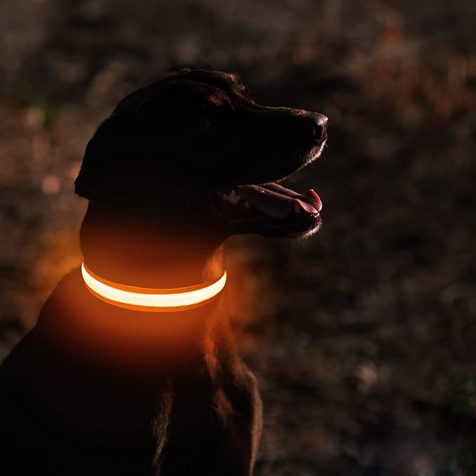 MASBRILL LED Dog Collar - Rechargeable, Waterproof, Glow Collar for Small to Large Dogs