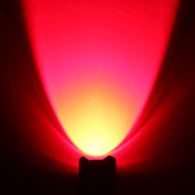 4 Pack Red LED Flashlight Single Mode Red Light Flashlight One Mode Zoomable Night Light Torch for