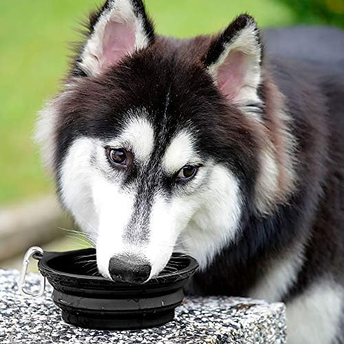 Kytely Large Collapsible Dog Bowls 2 Pack, 34oz Foldable Dog Travel Bowl, Portable Pet Water Food