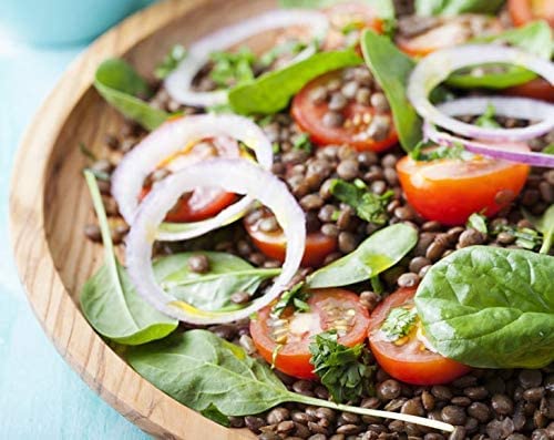 Food to Live French Green Lentils, 20 Pounds ??Whole Dry Beans, Raw, Sproutable, Vegan, Kosher