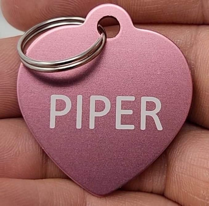 Dr. Fremont's Custom Pet Tag | Large, Heart-Shaped Aluminum | Many Colors & Shapes | Strong