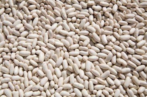 OliveNation Organic White Cannellini Beans, Dry White Kidney Beans, Non-GMO, Gluten Free, Vegan - 5
