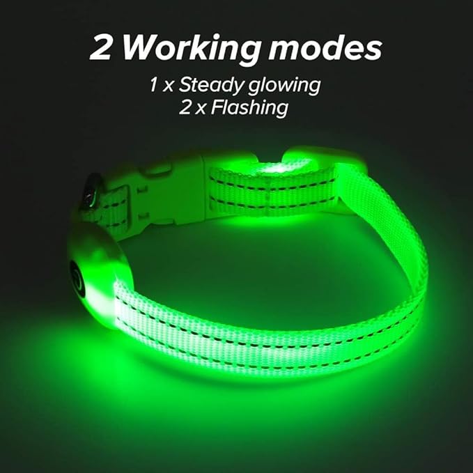 BSEEN Light Up Dog Collars - Glowing LED Dog Collar Rechargeable Puppy Collar for Small Dogs &