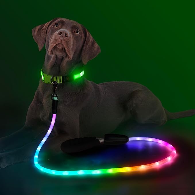 YFbrite Waterproof Light up Dog Leash with 15 Flashing Modes - Super Bright LED Dog Leash for Small