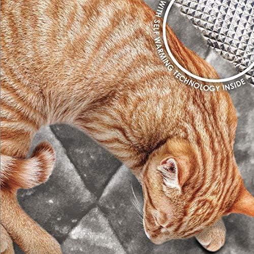 Furhaven ThermaNAP Self-Warming Cat Bed for Indoor Cats & Small Dogs, Washable & Reflects Body Heat