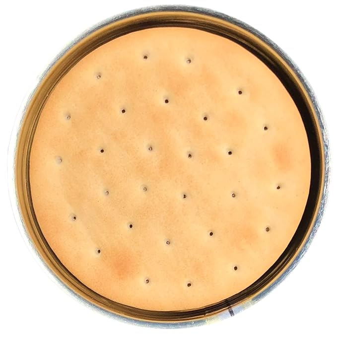 Future Essentials Sailor Pilot Bread Crackers 9.9 Oz per Can Ship’s Biscuit Ready to Eat Survival