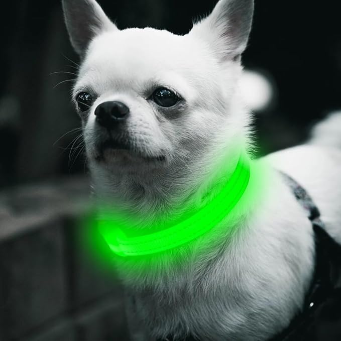 BSEEN Light Up Dog Collars - Glowing LED Dog Collar Rechargeable Puppy Collar for Small Dogs &