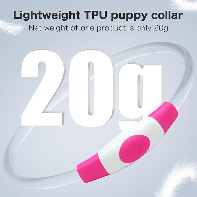 BSEEN Light Up Dog Collar - Rechargeable LED Dog Collar - Waterproof TPU Cuttable Glowing Pet