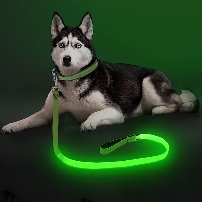 Colaseeme Light Up Dog Leash, LED Pet Leashes USB Rechargeable, Glow Safety Dogs Lights at Night