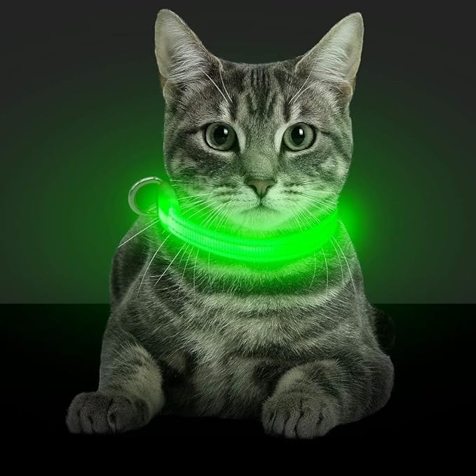 BSEEN Light Up Dog Collars - Glowing LED Dog Collar Rechargeable Puppy Collar for Small Dogs &