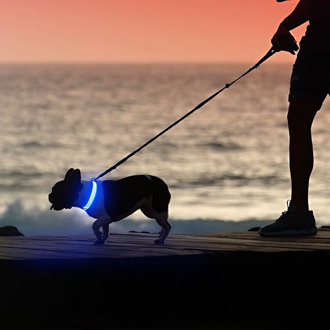Illumifun LED Dog Collar - USB Rechargeable Dog Light Up Collar, Reflective Pet Collar Light Glow