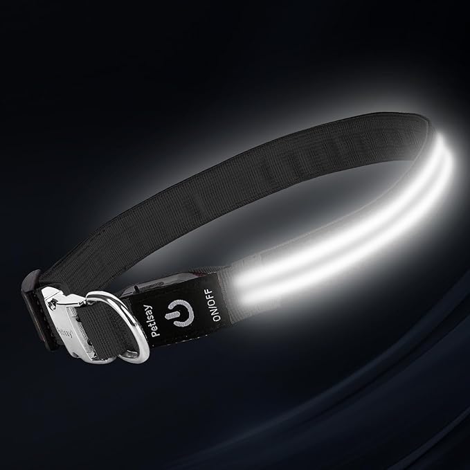 LED Dog Collar with Metal Buckle - USB Rechargeable Glow Collar for Dogs, Waterproof Light Up Dog