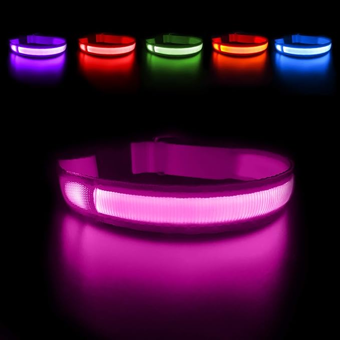 MASBRILL Light Up Collar - Rechargeable LED Dog Collar for Night Walking, Flashing Light, Fits