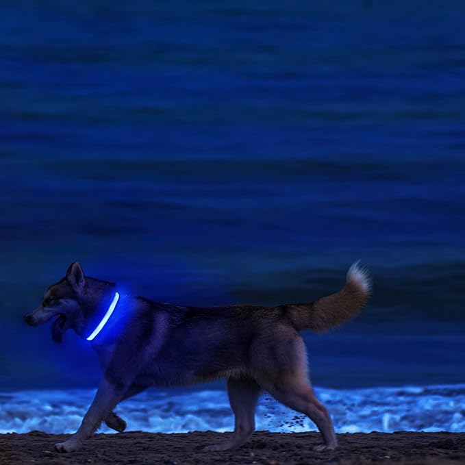 MASBRILL LED Dog Collar-Light Up Dog Collars Rechargeable Lighted Dog Collar Night Walking Glow