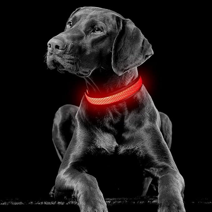YFbrite Light up Dog Collar, USB Rechargeable LED Puppy Collar Super Bright Adjustable Glowing Dog