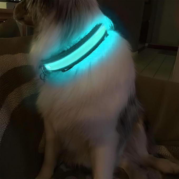 MASBRILL Light Up Dog Collars - LED Dog Collar Rechargeable Lighted Dog Collar Resistant-Water