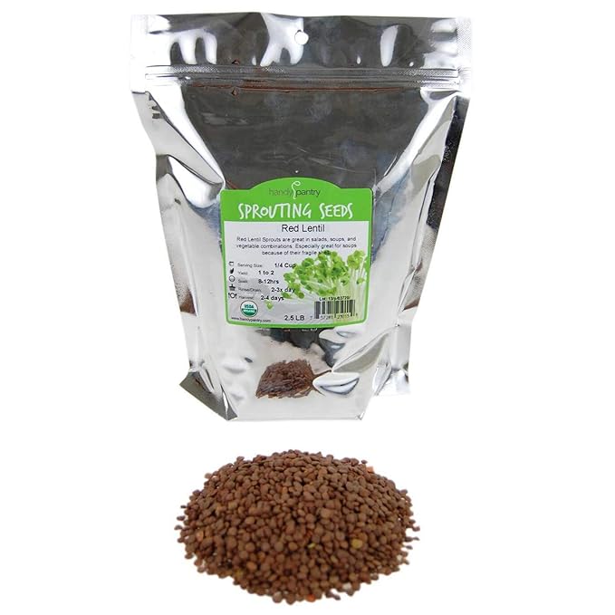 Organic Red Lentil Sprouting Seeds -2.5 Lbs - Handy Pantry Brand - Red Lentils- Perfect for Garden