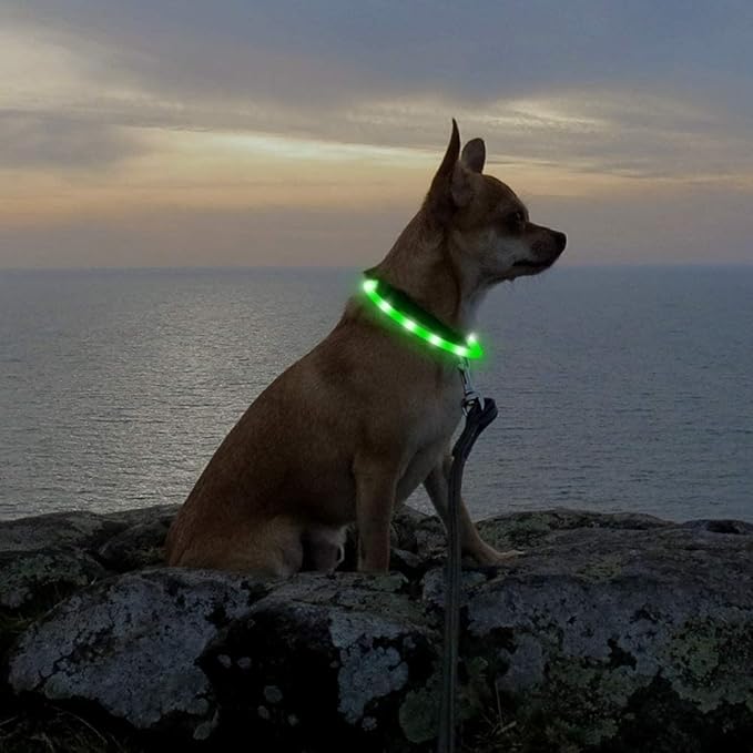 LED Dog Collar - HIGO Light Up Dog Collars Glow in The Dark, USB Rechargeable LED Dog Necklace