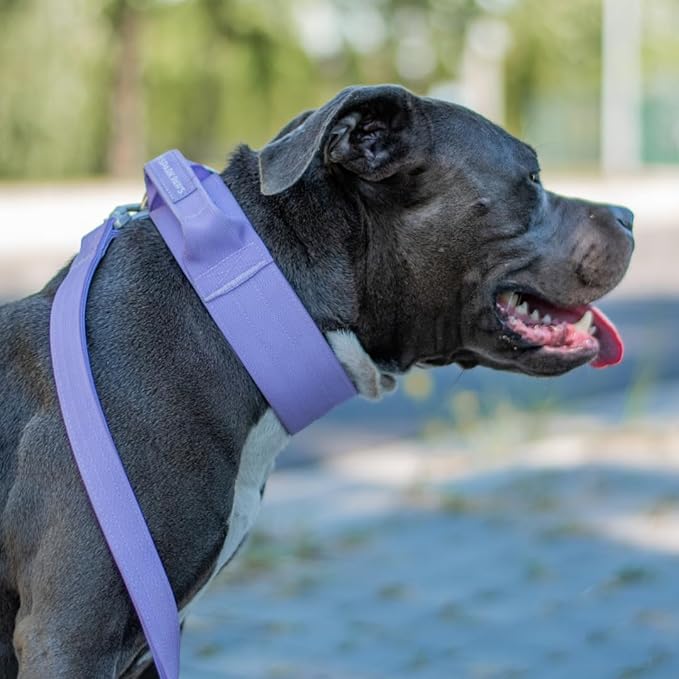 Spark Paws Tactical Dog Collar - Heavy Duty, Premium Quality, Thick and Durable for Large and