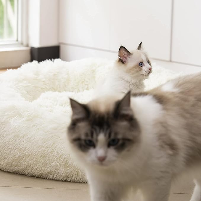 Anti Anxiety Round Fluffy Plush Faux Fur Warm Washable Dog Bed & Cat Bed, Original Bed for Small