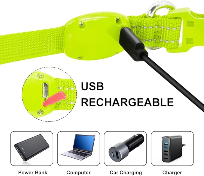 Light Up Dog Collar for Small Dogs - Rechargeable Puppy Collars Glow in The Dark LED Dog Collar