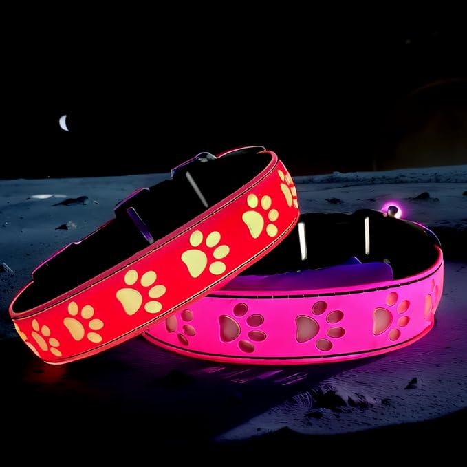 LED Light Up Dog Collar, USB-C Rechargeable, Multicolor Paw Print Design, 15 Modes Lighting Night
