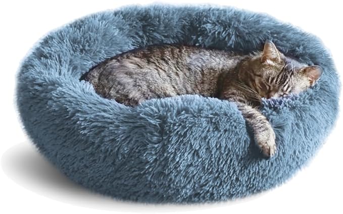 Whiskers & Friends Cat Bed, Cat Beds for Indoor Cats Washable, Orthopedic Soft Fluffy Round Calming