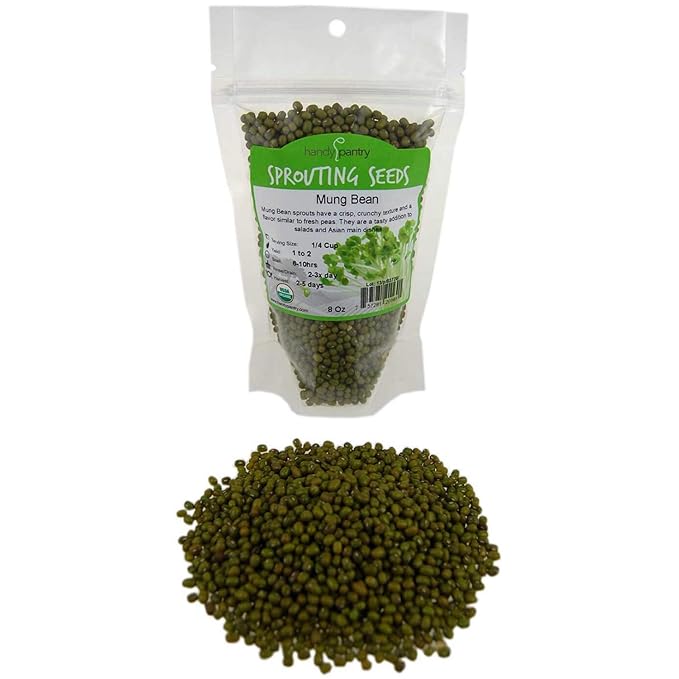Mung Bean Sprouting Seed: 8 Oz - Organic, Non-GMO - Handy Pantry Brand - Dried Mung Beans for
