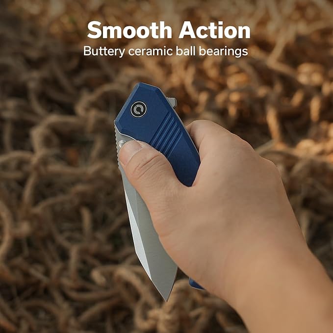 CIVIVI Placoid Pocket Knife for EDC, Folding Knife with 3.67" 14C28N Blade G-10 Handle For Men