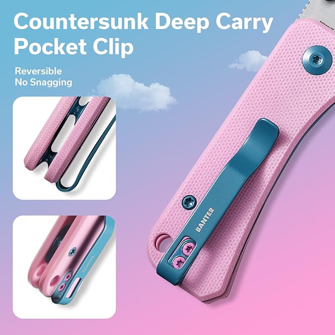 CIVIVI Small Pocket Knife for EDC, Ben Petersen Folding Knife Baby Banter with 2.34" Nitro-V Blade